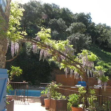 L'oliveraie Des 3 Mas
