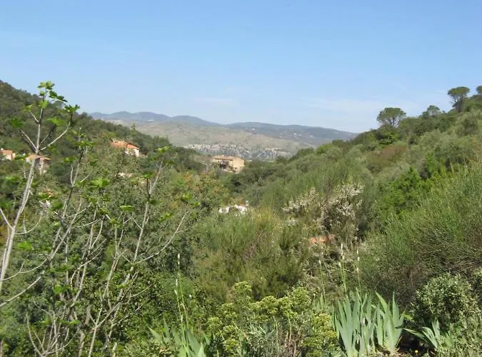L'oliveraie Des 3 Mas